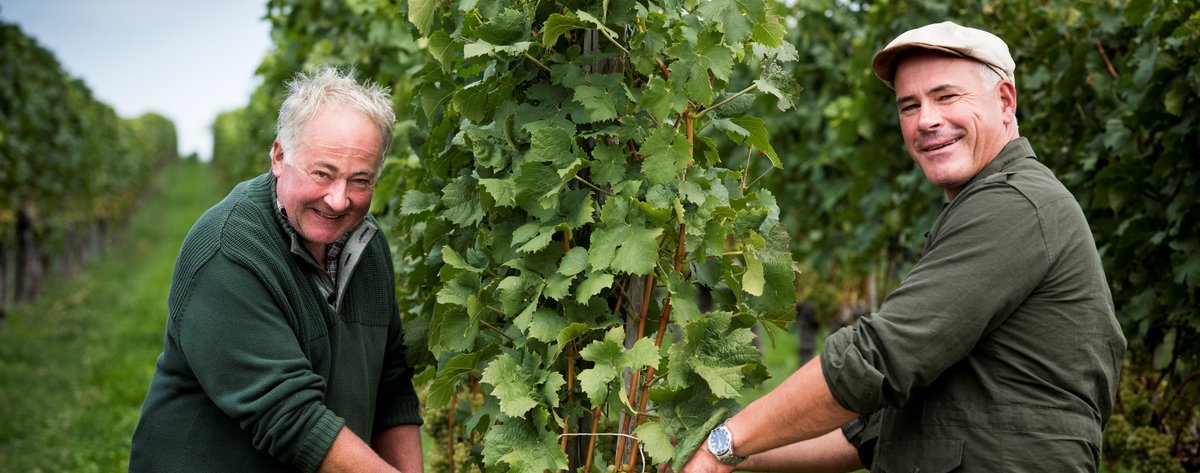 Manfred Aufricht, Weingut Aufricht, Weinprobe Kiel, Weinclub Kiel, Weinabend