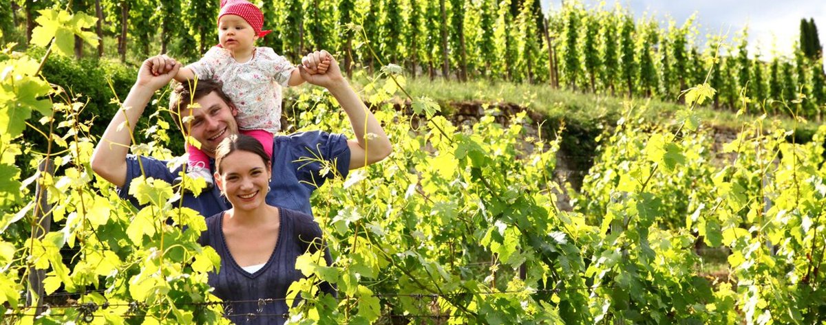 Alexander Pflüger, Weingut Pflüger,  Weinprobe Kiel, Weinclub Kiel, Weinabend